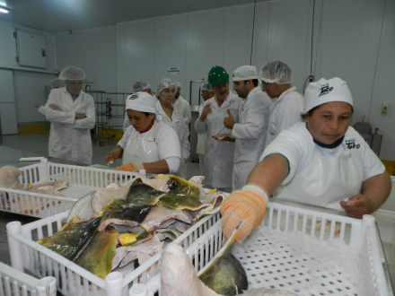pacu_abril 2023b.jpg.jfif