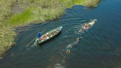 Esteros del Iberá, uno de los mejores lugares de ecoturismo en Argentina