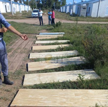 puerats02.jpg