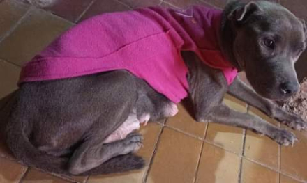 WhatsApp Image 2023-04-22 at 17.24.51 (1).jpeg