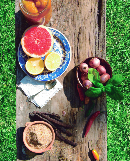 tapa sabores del chaco-01 (1).jpg