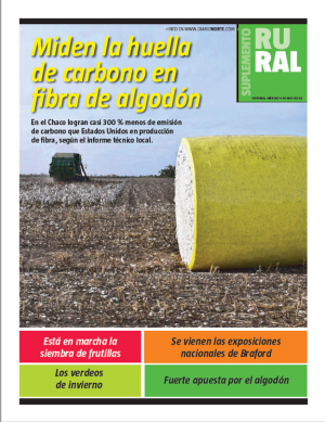 Miden la huella de carbono en fibra de algodón
