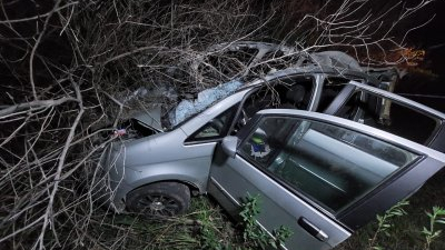 Un caballo suelto provocó un siniestro fatal en Santa Sylvina