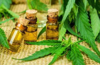 Madura una nueva cadena de valor de la mano del cannabis medicinal