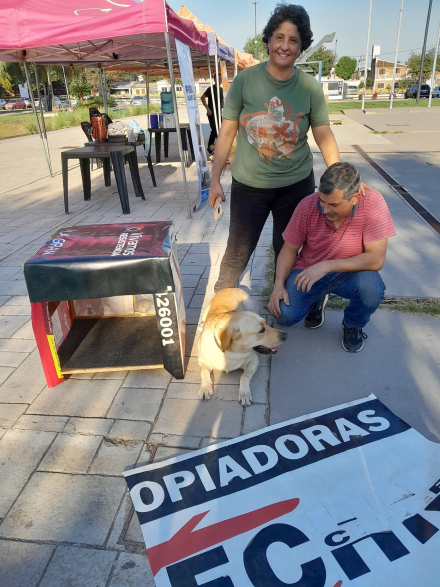 cuchas 2.jpg