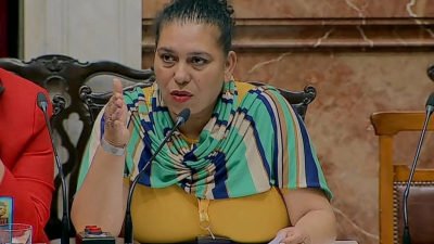 Referentes chaqueñas asistieron a un encuentro federal sobre participación política afro