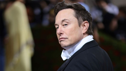 elon.jpg