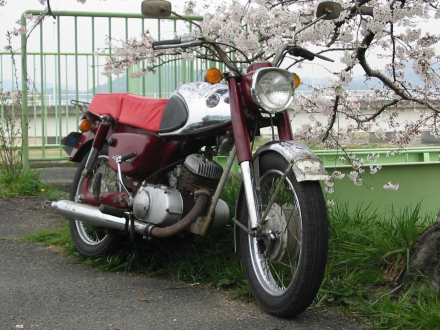 b8.jpg