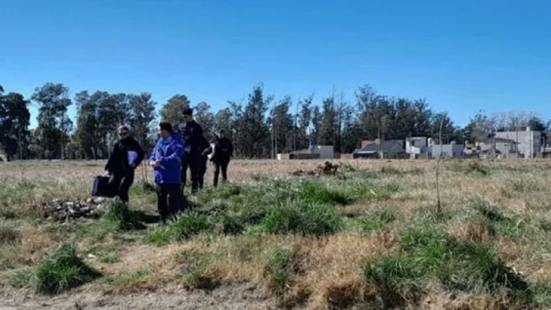Macabro: un perro apareció con restos de un bebé en su boca