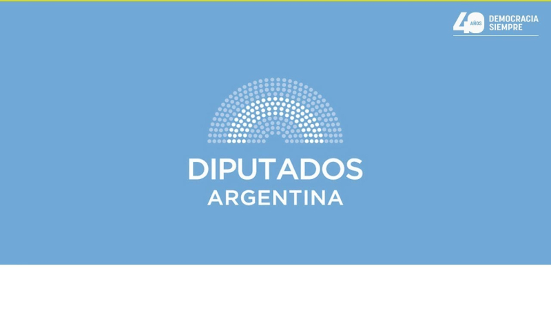 Diputados comienza a tratar proyecto sobre capacitación obligatoria en lengua de señas para funcionarios