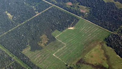 Comienzan las audiencias públicas por el ordenamiento de bosques nativos