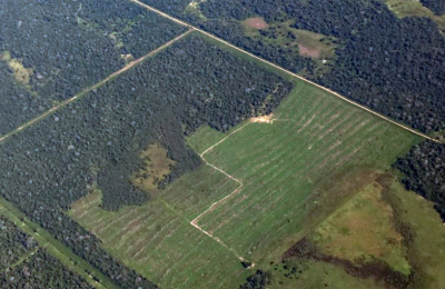 Comienzan las audiencias públicas por el ordenamiento de bosques nativos