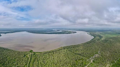 Preocupación por "falta de acciones" para la creación de corredores de biodiversidad