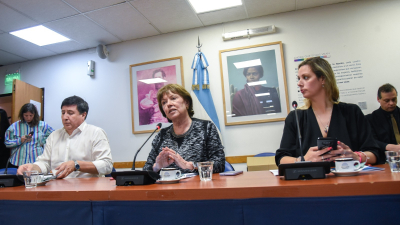 Funcionarios, académicos y especialistas expusieron en Diputados sobre el proyecto de financiamiento educativo