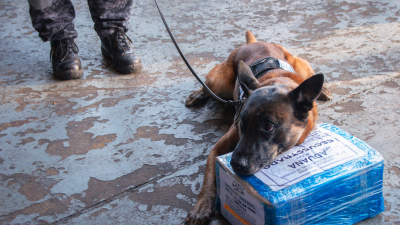 Aduanas incineró más de 60 kg de cocaína