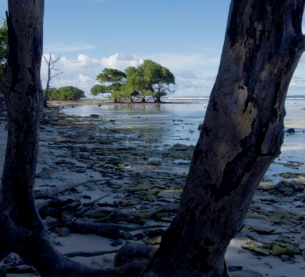 kosrae.jpg