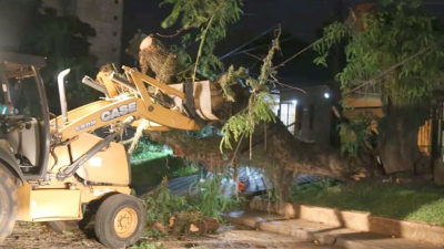 Temporal en el sur de Misiones, voladuras de techos y caída de árboles