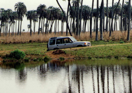 Parque Nacional el palmar..jpg