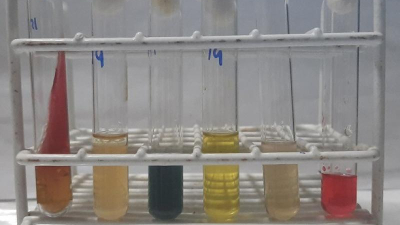 Investigarán presencia de ciertas bacterias en el río Paraná como indicador de contaminación