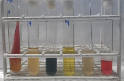 Investigarán presencia de ciertas bacterias en el río Paraná como indicador de contaminación