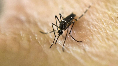 Dengue: llega la vacuna, pero la prevención sigue siendo prioritaria