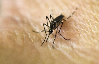 Dengue: llega la vacuna, pero la prevención sigue siendo prioritaria