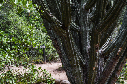 turismo naturaleza3.jpg