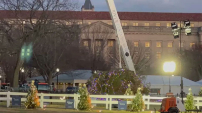 Se cayó el árbol de Navidad de la Casa Blanca por primera vez en más de 100 años