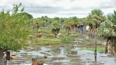 El Paraná recupera caudal por el fenómeno de El Niño