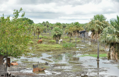 El Paraná recupera caudal por el fenómeno de El Niño