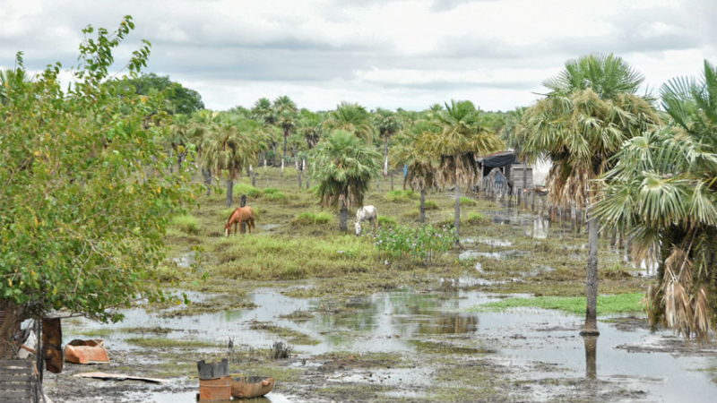 El Paraná recupera caudal por el fenómeno de El Niño
