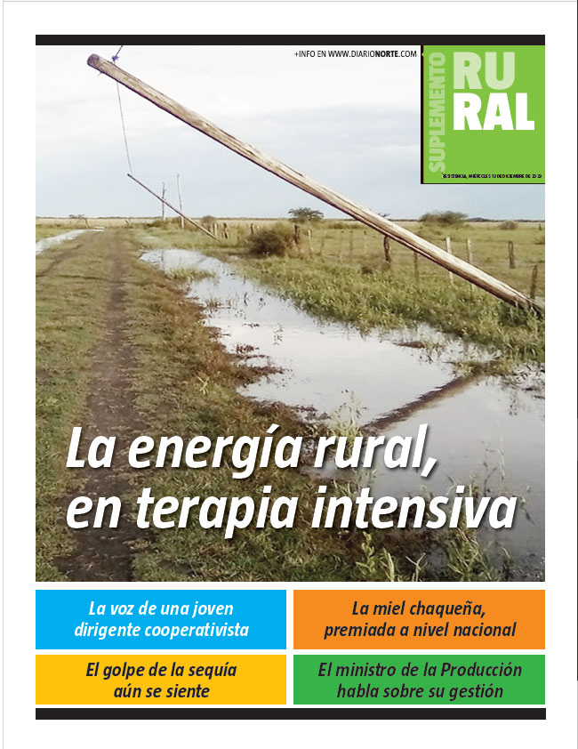 La energía rural, en terapia intensiva