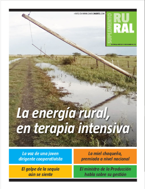 La energía rural, en terapia intensiva