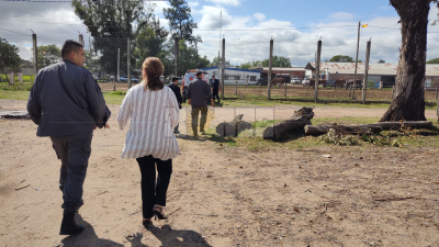 Sorpresivo control de la jueza Pereyra durante la segunda visita del "clan Sena"