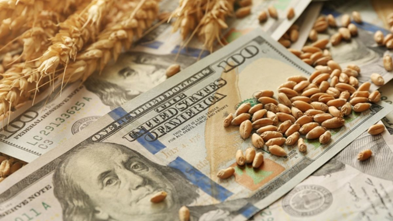 Agroexportadores: en diciembre liquidaron 66% menos de divisas