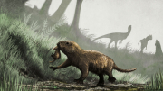 dinos3.jpg