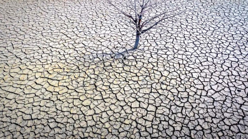 El año 2023 fue el más caluroso en los anales del planeta
