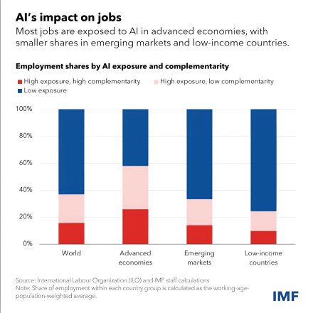 IMF-blog3.jpg