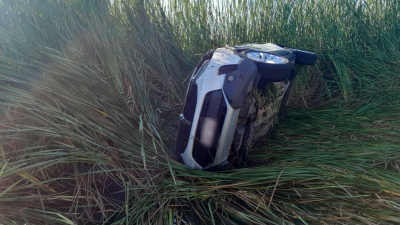 Por esquivar un animal, perdió el control de su auto y terminó en la banquina