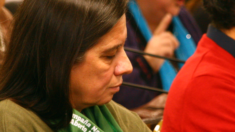 Ley anti-IVE: "Buscan tapar lo grave que sucede en el país"
