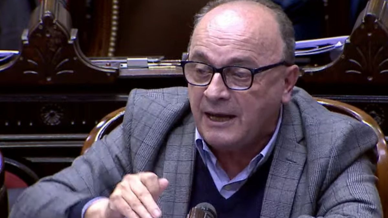 "La UCR tiene la llave para rechazar el DNU de Milei"