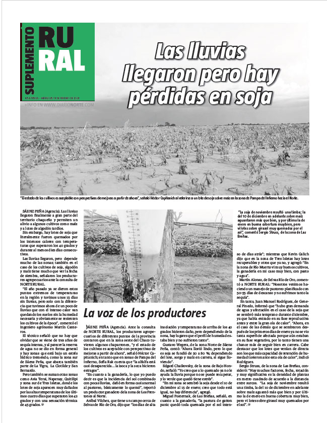 Las lluvias llegaron pero hay pérdidas en soja