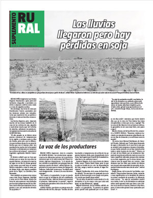 Las lluvias llegaron pero hay pérdidas en soja