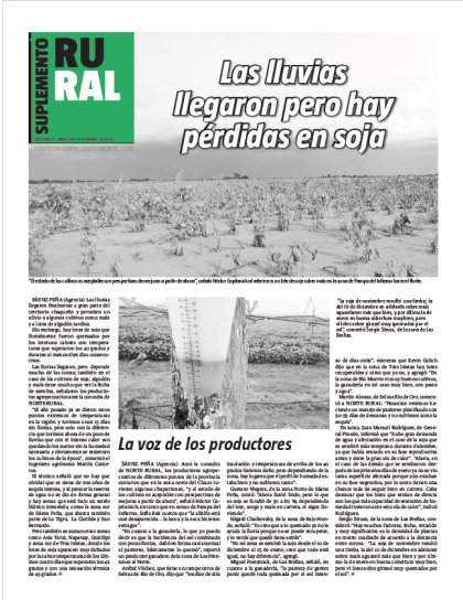 Las lluvias llegaron pero hay pérdidas en soja