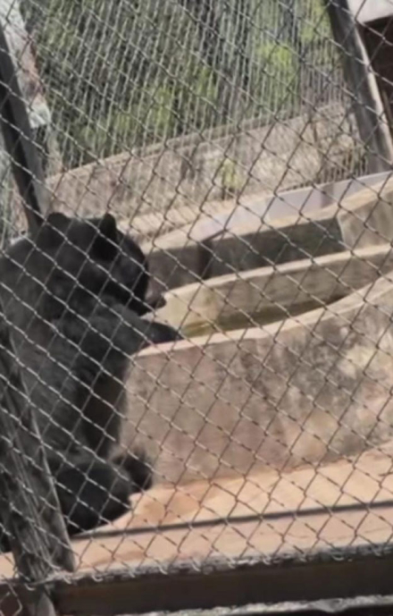 zoo3.jpg