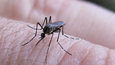 La importancia de una buena nutrición para hacerle frente al dengue