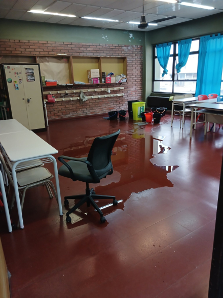 dengue escuelas.jpg