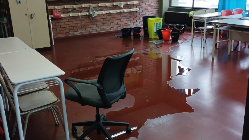 Dengue: Ademys advirtió el gran aumento de casos en las escuelas porteñas