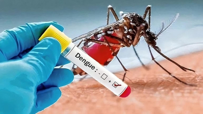 Brasil: récord de más de 1,8 millones de casos de dengue