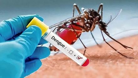 brasil_dengue.jpeg